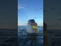 Taapsee Pannu Enjoying Beach Taapseepannu