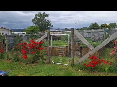 7 & 9 Kahikatea Street, Murupara, Whakatane, Bay of Plenty, 3房, 1浴, 独立别墅