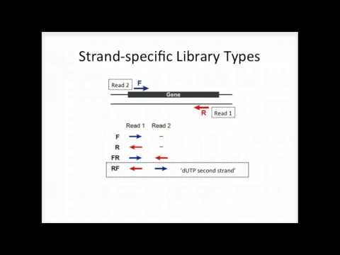 BroadE: Strand-specific RNA-Seq is Preferred