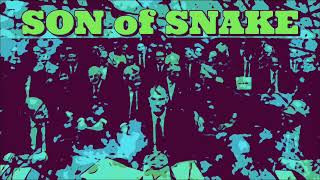 SON of SNAKE “Implants”. Anonymous Collective