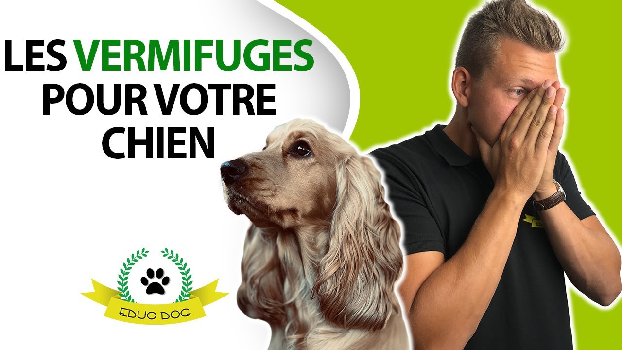 LES VERMIFUGES POUR CHIEN : CONSEIL & EXPLICATION !!!!
