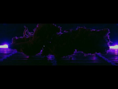 Vira Lata - Wolken feat. Priester