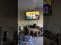 Opening To Arthur Learns Responsibility 2002 VHS