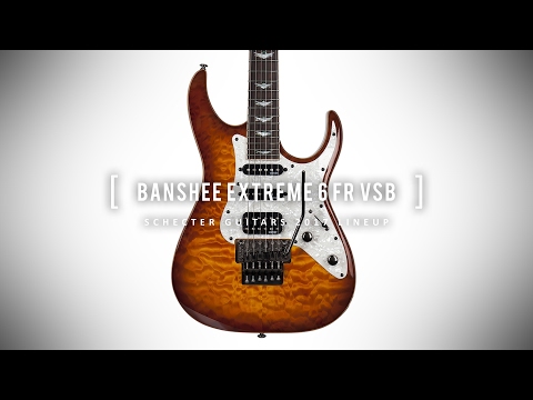 SCHECTER BANSHEE EXTREME 6 FR VSB