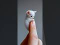 CUTEST Little Animals In The World