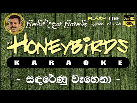 Sanda Renu Wahena Karaoke (Without Voice) සඳරේණු වෑහෙනා කැරෝකේ