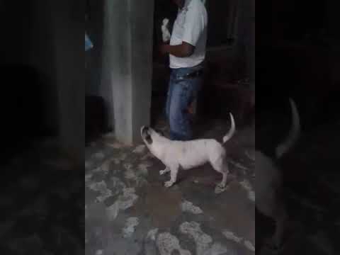 11 de octubre de 2017