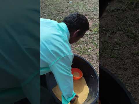 aqui e a naturalidade de são Gabriel da cachoeira #caminhoparaumavidamelhor