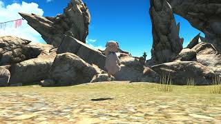 死すべき定め(🐷ミンチ)【FF14・青魔道士】