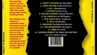 Flipper - Sad But True