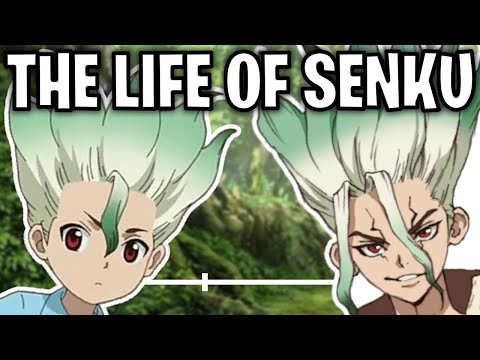 The Life Of Senku Ishigami (Dr. Stone)