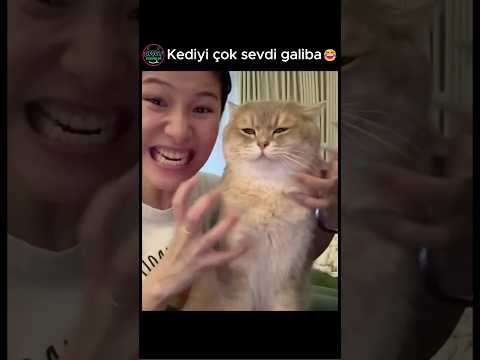 kediyi çok sevdi galiba 🤣