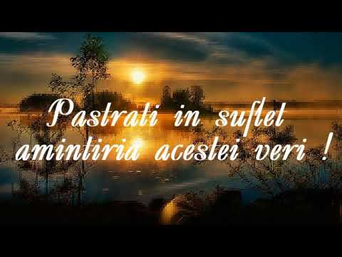 Din amintirile verii