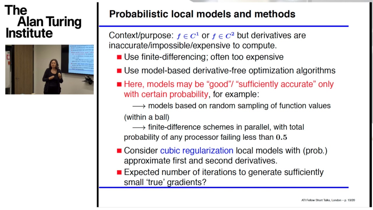 Fellow Short Talks: Professor Coralia Cartis, Oxford University