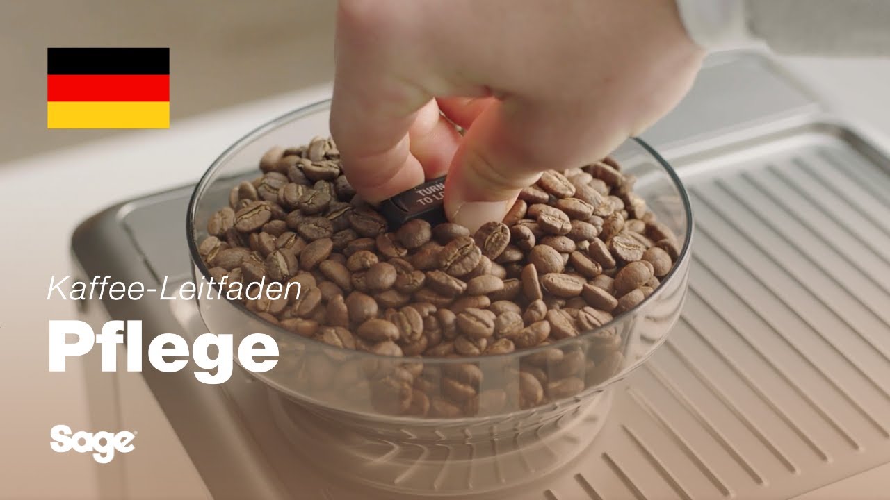 Reinigung der Mahlkegel