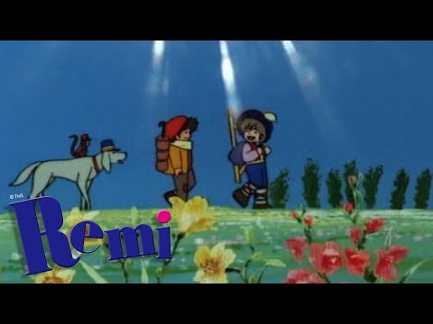 Remi, el niño de nadie  |  capítulo36 - Mattia, el genio musical  (Español Latino)