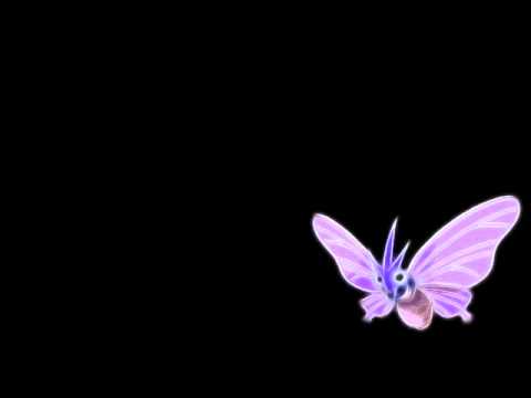 I Wonder What's For Dinner/Sword of Omens - Venomoth (Pokemon Split) #49