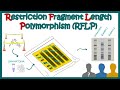 restriction fragment length polymorphism (RFLP) |Principle | applications | limitations