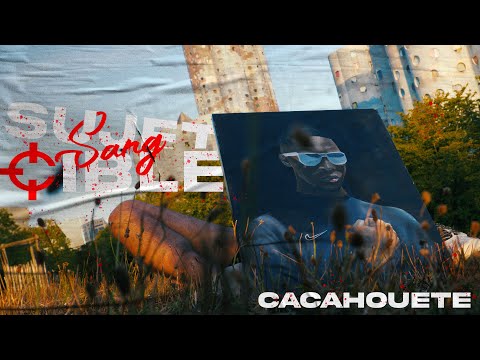 Video thumbnail for Sujet Sang Cible