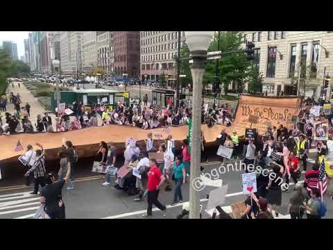 America is No Kings Country Y'all