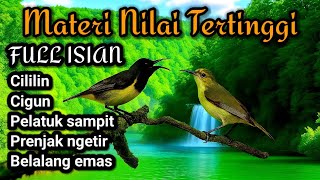 Download lagu Tembakan favorit para juri‼️ Masteran sogon full isian mewah mp3 Download lagu Tembakan favorit para juri‼️ Masteran sogon full isian mewah mp3