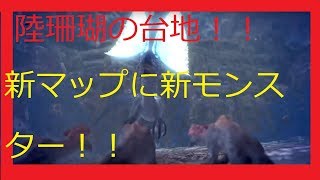 【モンスターハンターワールド実況】新マップ陸珊瑚の台地を調べる！