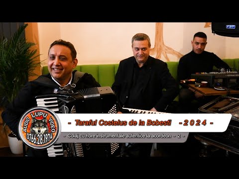 Costelus de la Bobesti - 2 - Un tigan avea o casa - Hore autentice instrumentale la acordeon - 2024