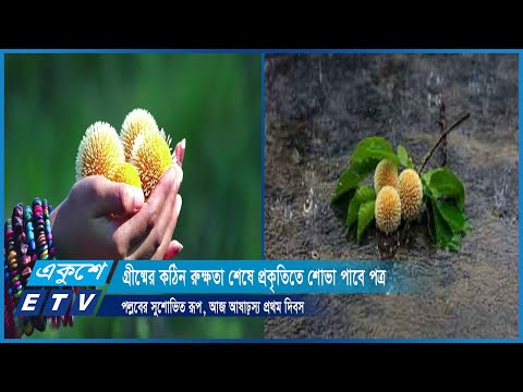 গ্রীষ্মের কঠিন রুক্ষতা শেষে প্রকৃতিতে শোভা পাবে পত্র-পল্লবের সুশোভিত রূপ | ETV News