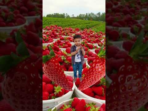 #umer #stylewithamina #muavia#istrobry