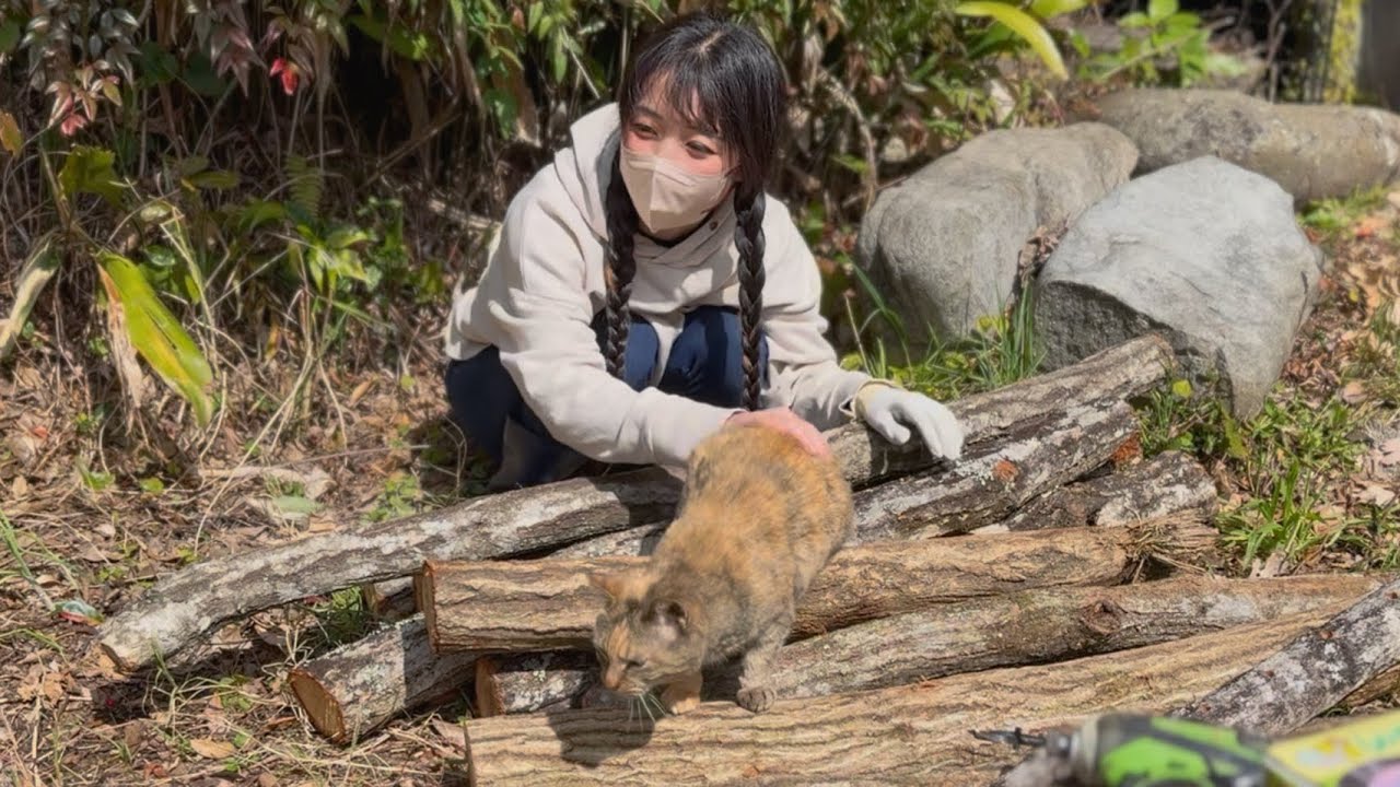 【田舎暮らし】しいたけ原木づくり！菌打ち作業とカブトムシ幼虫の土交換