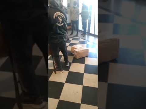 Perro de la División Drogas Peligrosas detecta estupefacientes