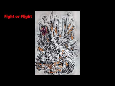 Fight or Flight - Cheshyre