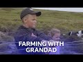 Passing Farming Techniques Down The Family This Farming Life BBC Scotland