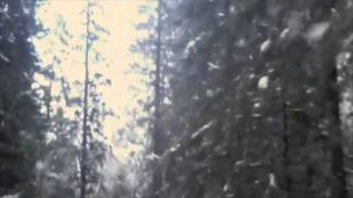 Wolfcreek Pass by CW McCall