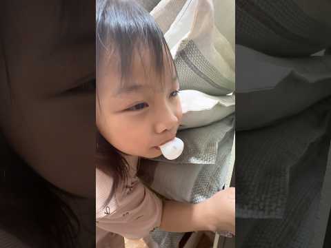 Này Thì Nghịch Dại