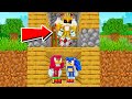 Minecraft Sonic MANHUNT With TAILS DOLL! | Sonic Minecraft Stories [2]