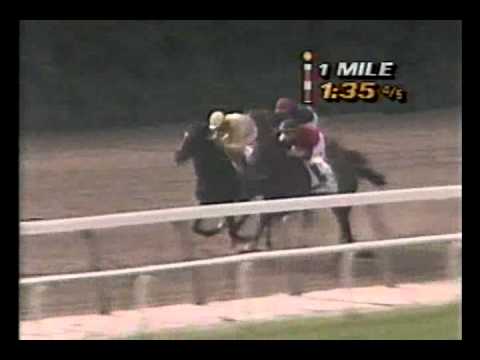 1989 Belmont Stakes - Easy Goer