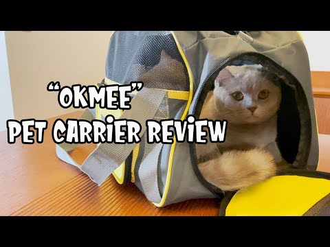 OKMEE Pet Carrier Review | British Shorthair Cats and Kittens Test New Travel Carrier