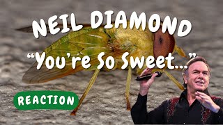 Neil Diamond -- You’re So Sweet, Horseflies Keep Hangin&#39; &#39;Round Your Face  [REACTION/GIFT REQUEST]