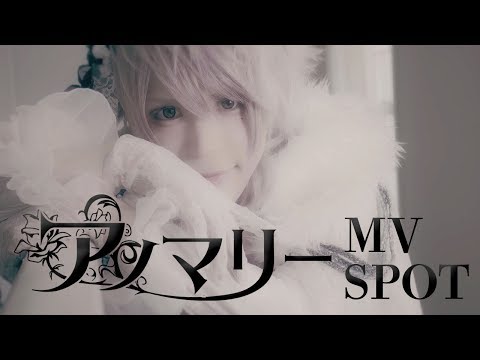  東京スキヤキTV