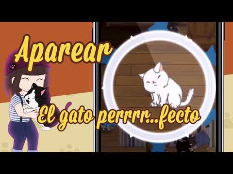 Commercial Demo (Spanish)