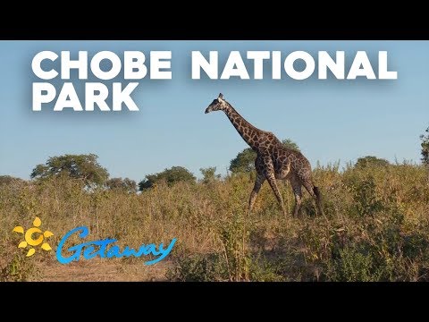 Chobe National Park | Getaway 2019