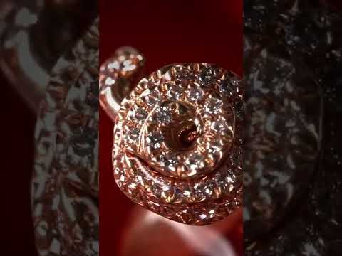 Criando elegância floral com ‘Rose Dior Couture’