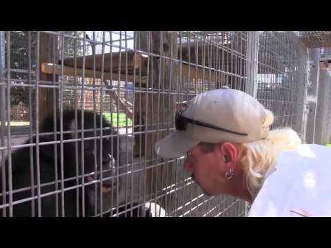 GW Zoo Animal Spotlight - Bo