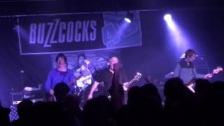 Buzzcocks live! Encore "What Do I Get?" + "Orgasm Addict"