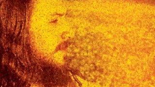 Ram Dass Khalsa - Rakhay Rakhanhaar