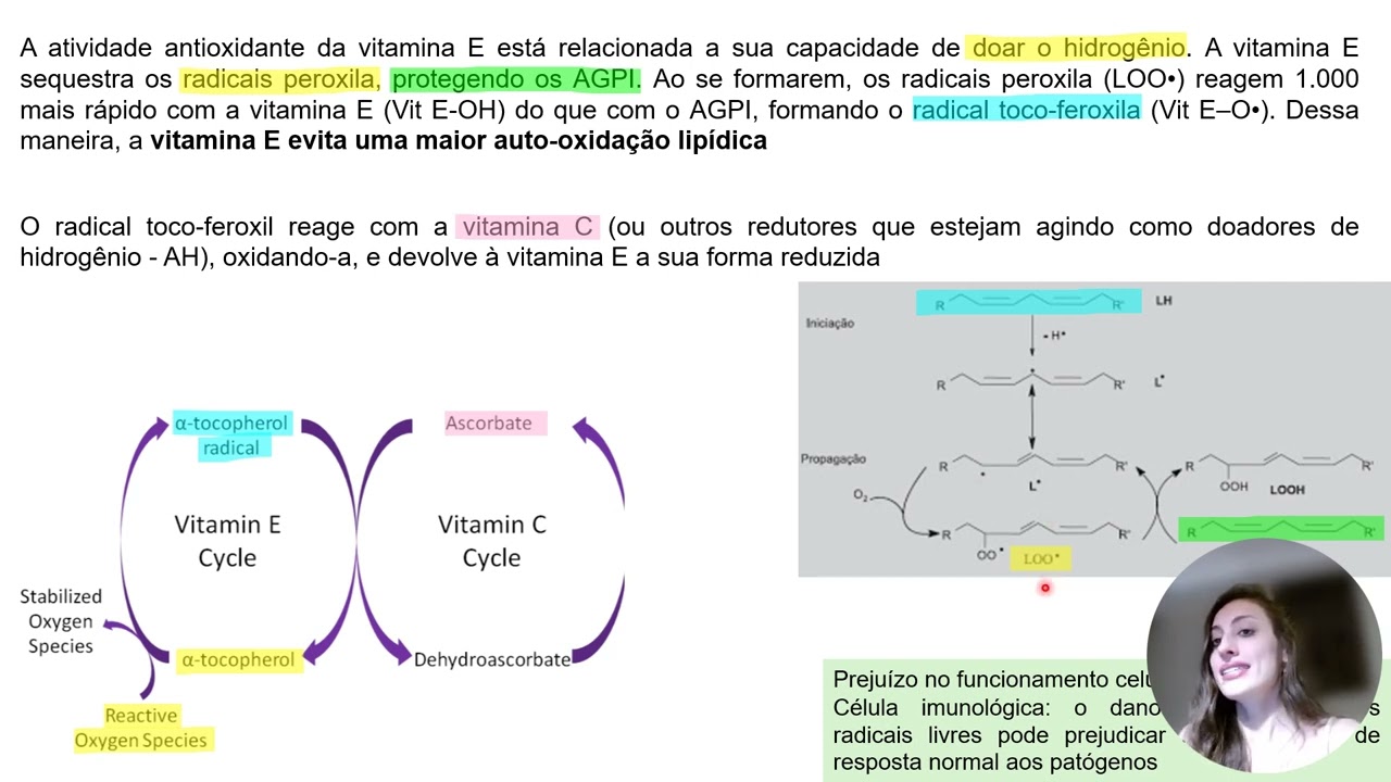 VITAMINA antioxidantes grupo dudu