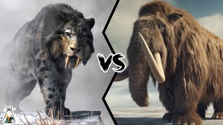 Saber-Toothed Tiger vs Mammoth - Who Ruled the Prehistoric Landscapes?