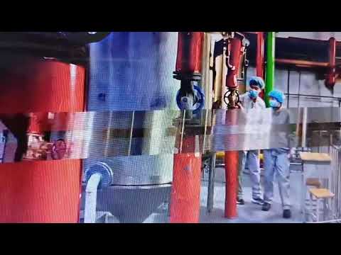 Coriander Extract Powder