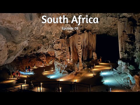 Ostrich Farm, Cango Caves & Wildlife Ranch | South Africa Episode 05